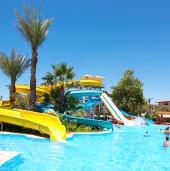 Etiam dictum egestas