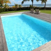 Suspendisse arcu nisl